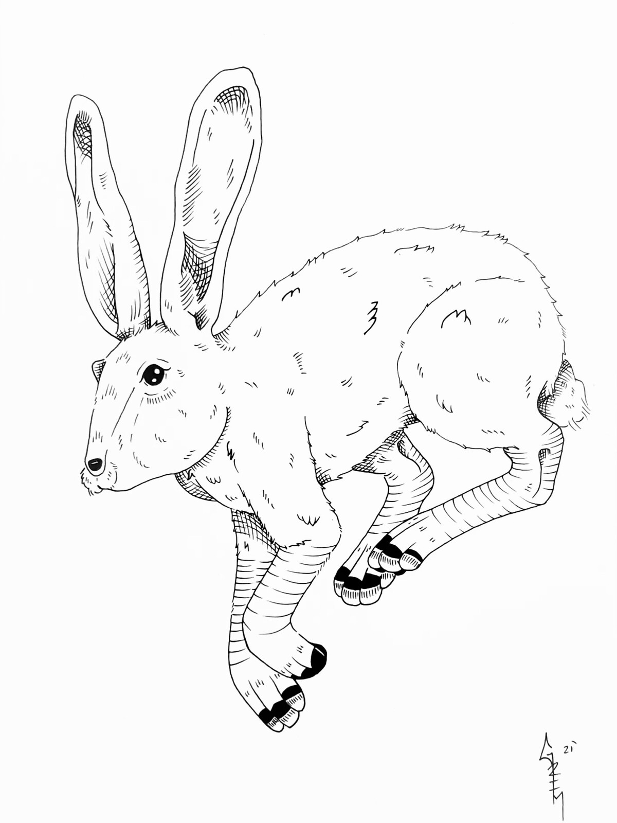 Grim Stance - The Hare