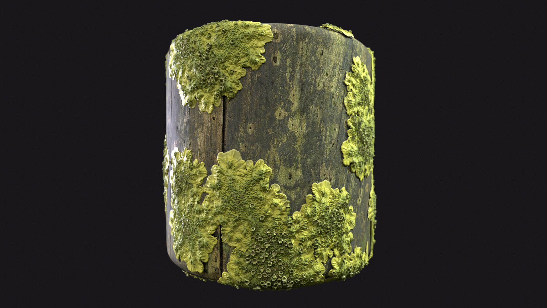 ArtStation - Material Study - Lichen