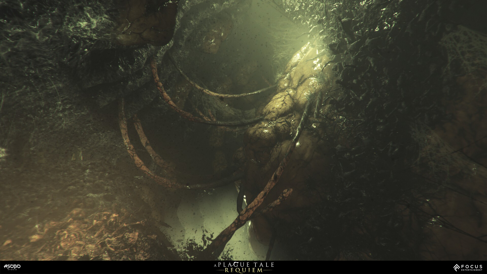The Art of A Plague tale Requiem - (283)