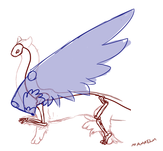 gif showing wing movement https://www.deviantart.com/tayleaf/art/Khle-ahd-Wing-Explanation-508847794
