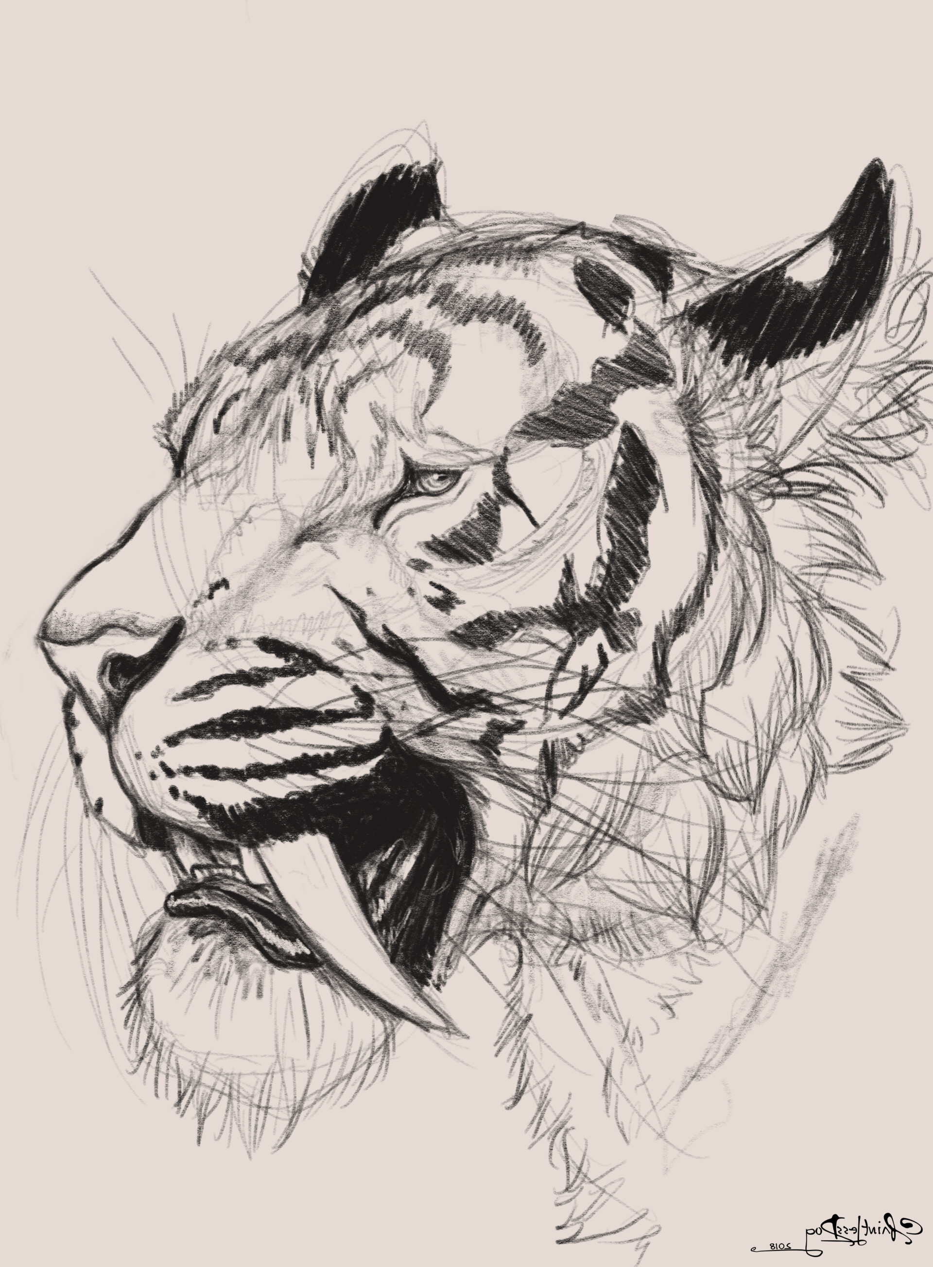 The Art of Brian Allen  Flyland Designs  Working on a sabertooth tiger  sketch for a client in CLIP STUDIO PAINT  Facebook