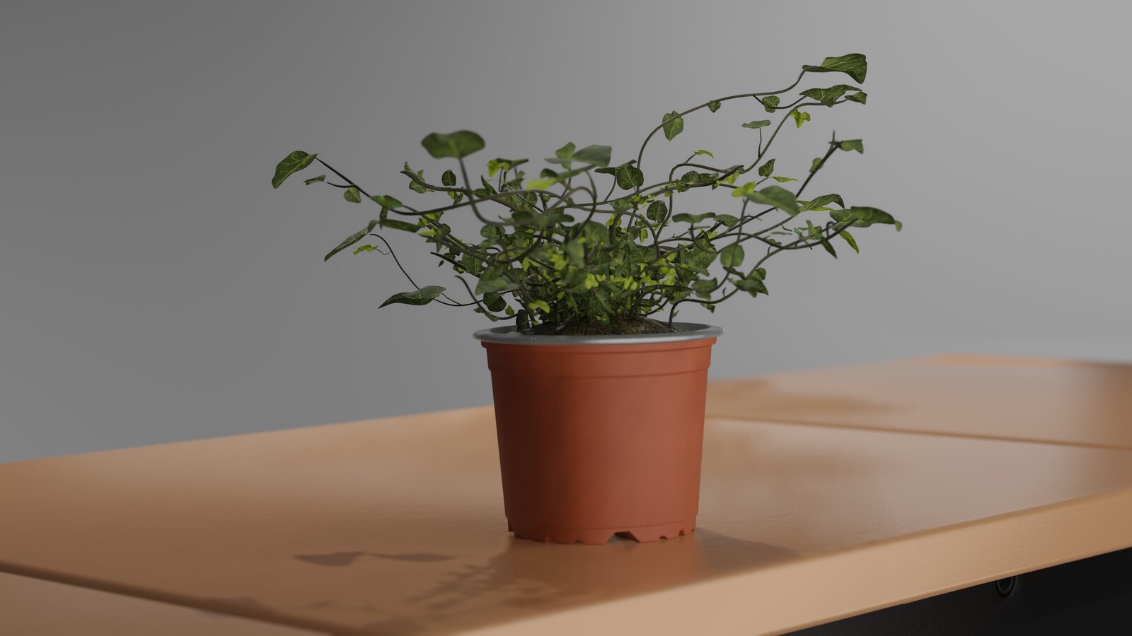 Final render, non edited