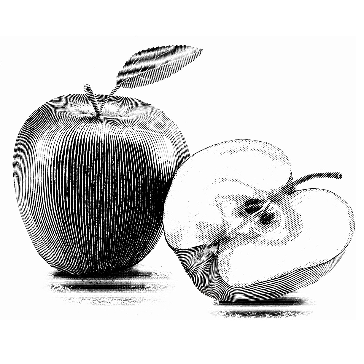 How to draw an apple with a pencil step-by-step drawing tutorial