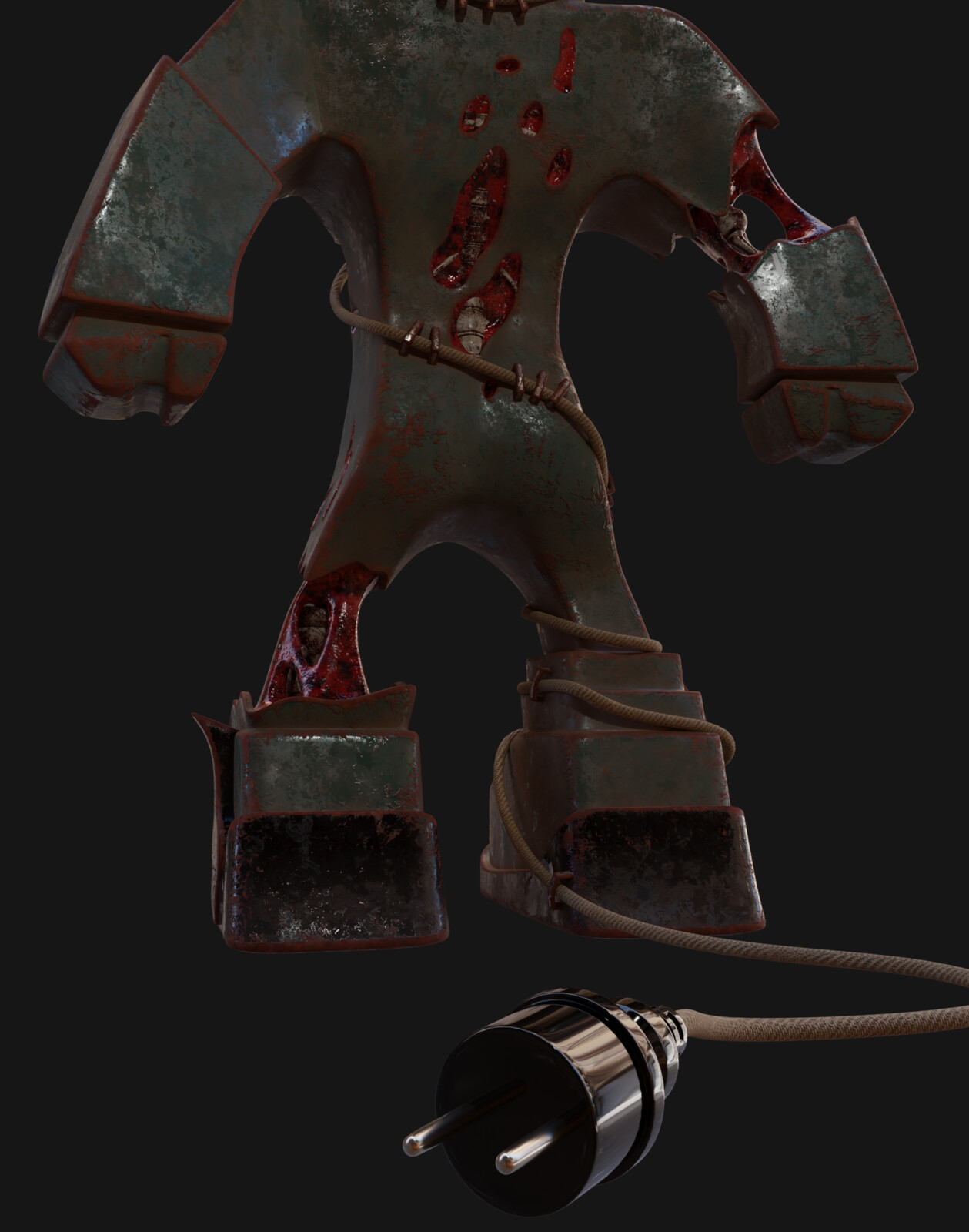 Plug closeup