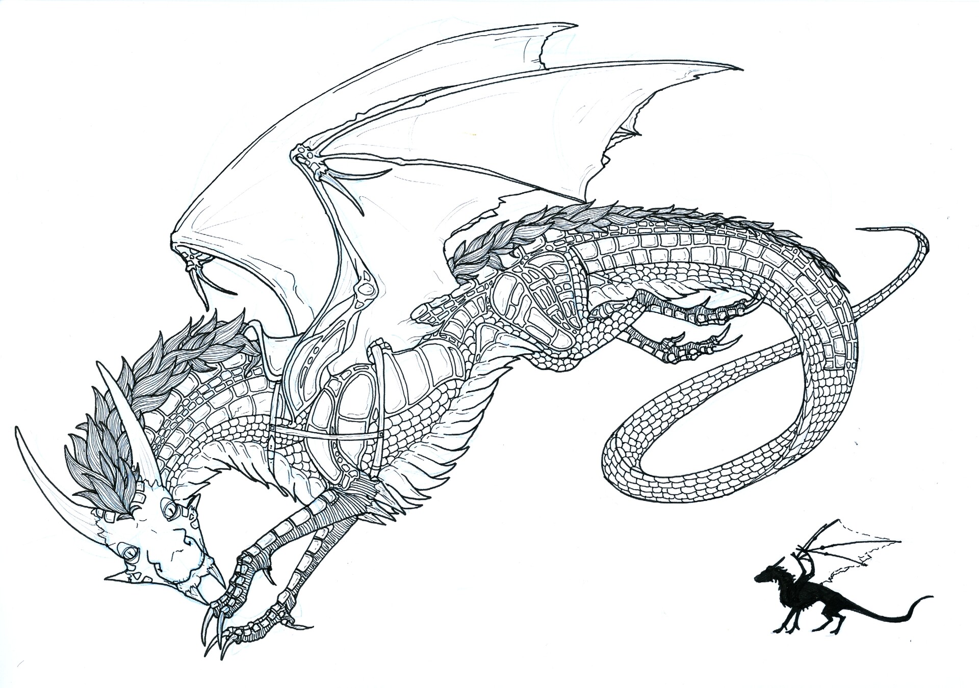 20 dragon drawings | Image