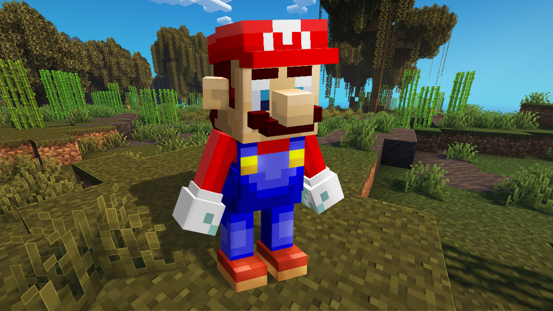 Mario minecraft top