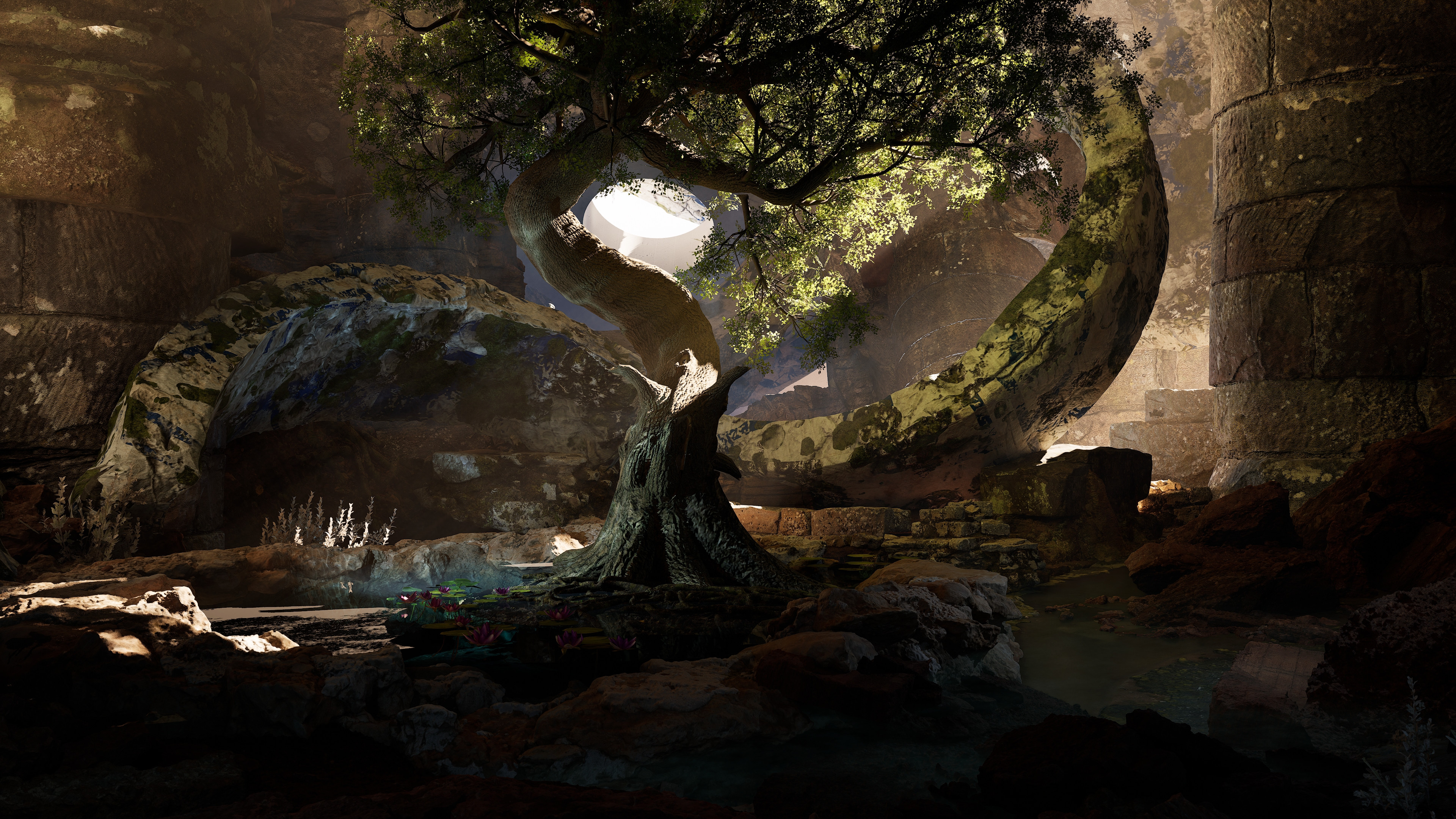 Yue Zhang - Cave