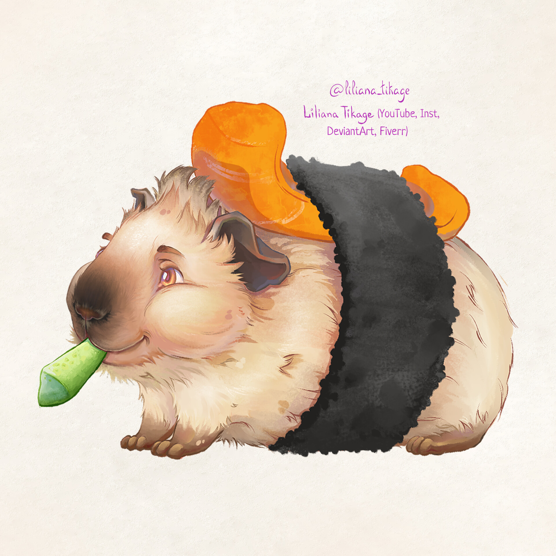 Guinea pig shop sushi