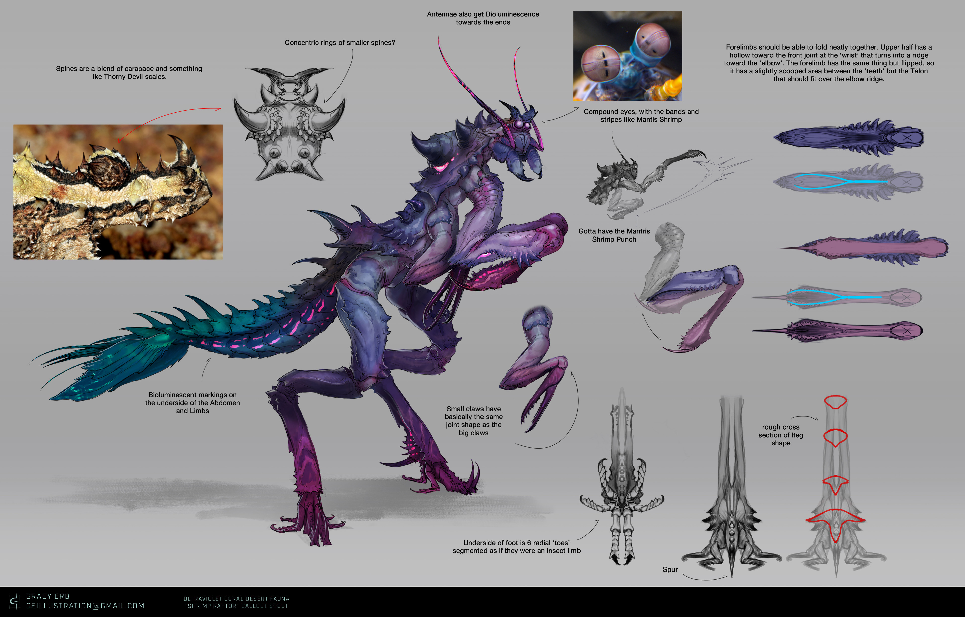 Mantis raptor hotsell