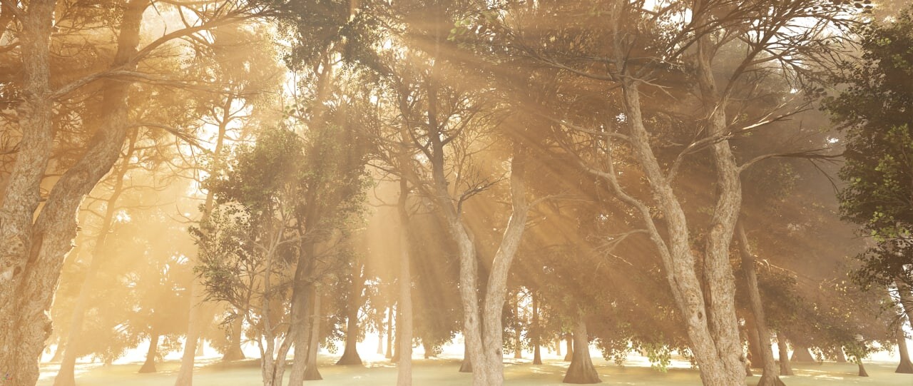 ArtStation Sunshower