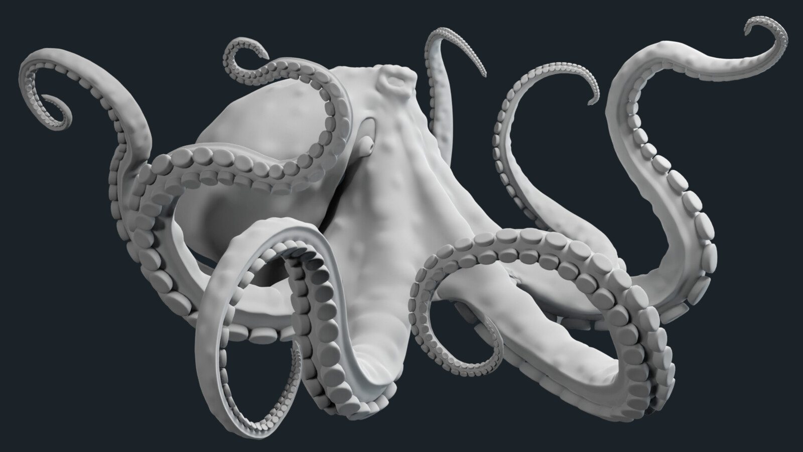 Octopus Base Mesh