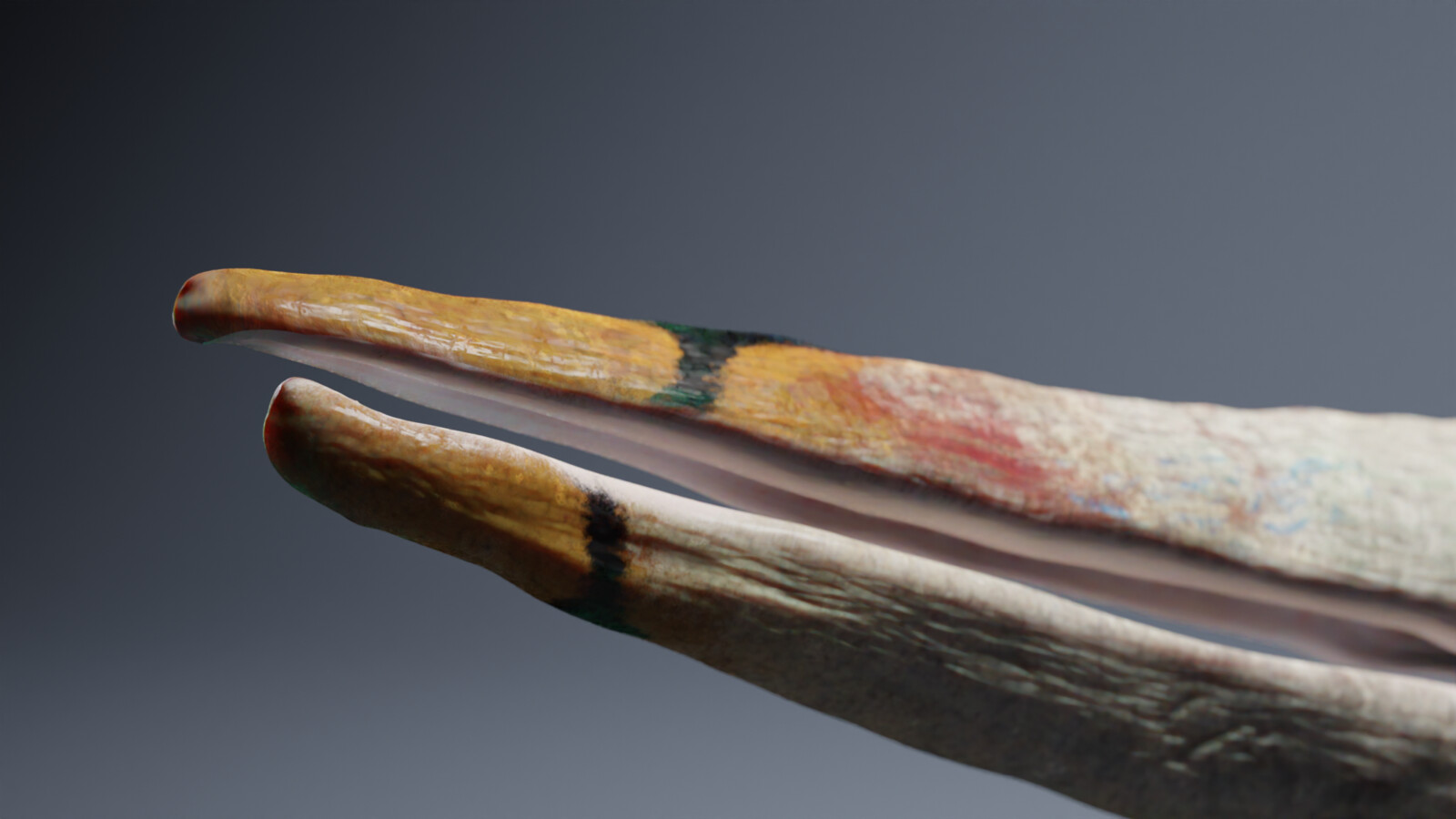 Pteranodon, close up of beak.