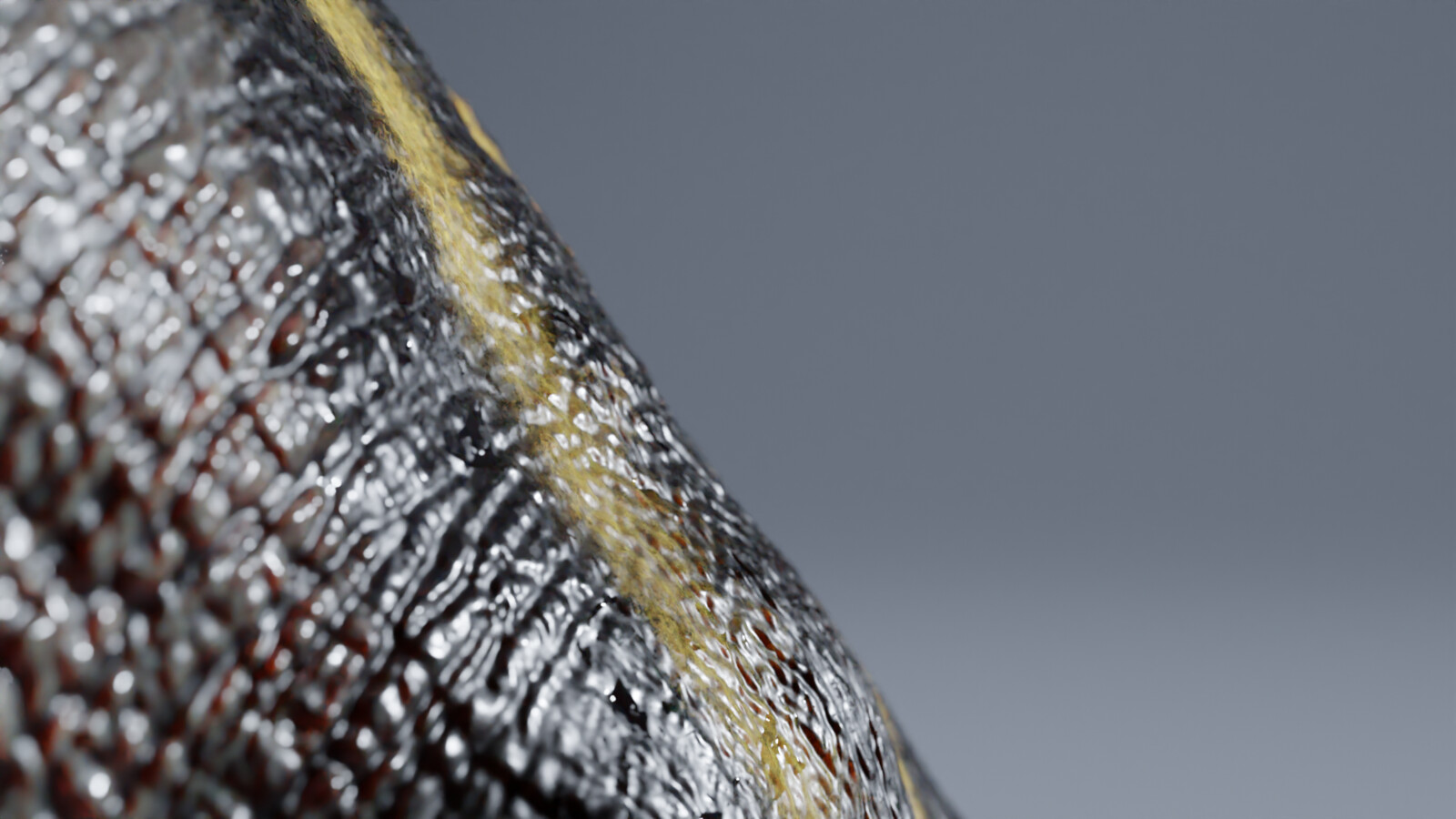 Skin close up showcase.