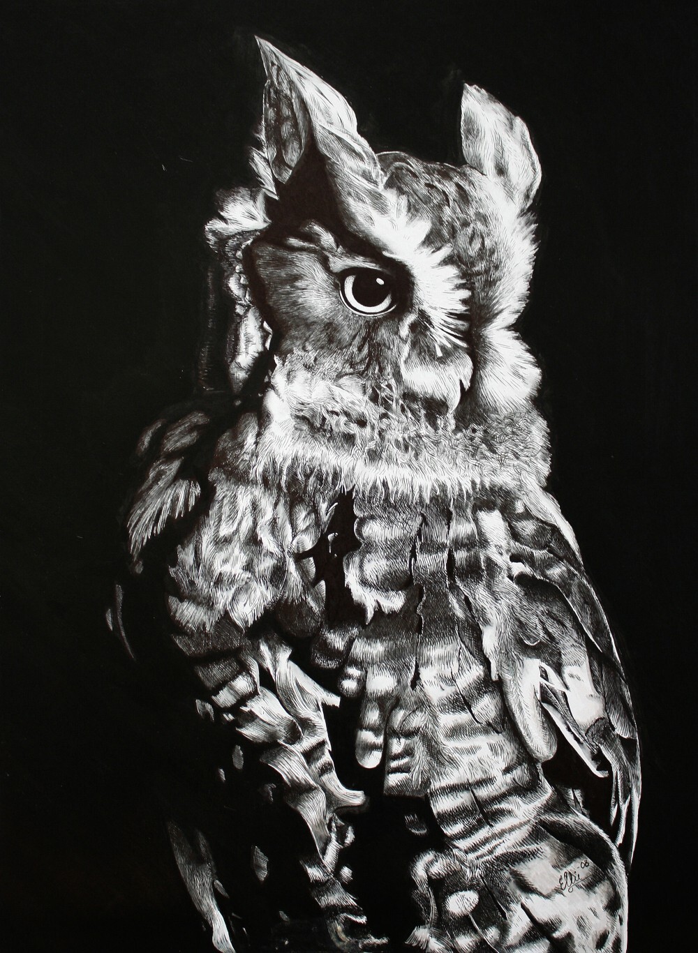 Horned Owl (study), 2008, pen and ink.