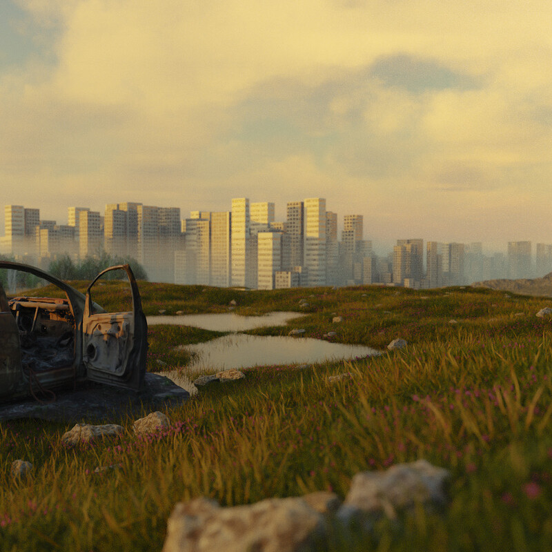 Car wasteland