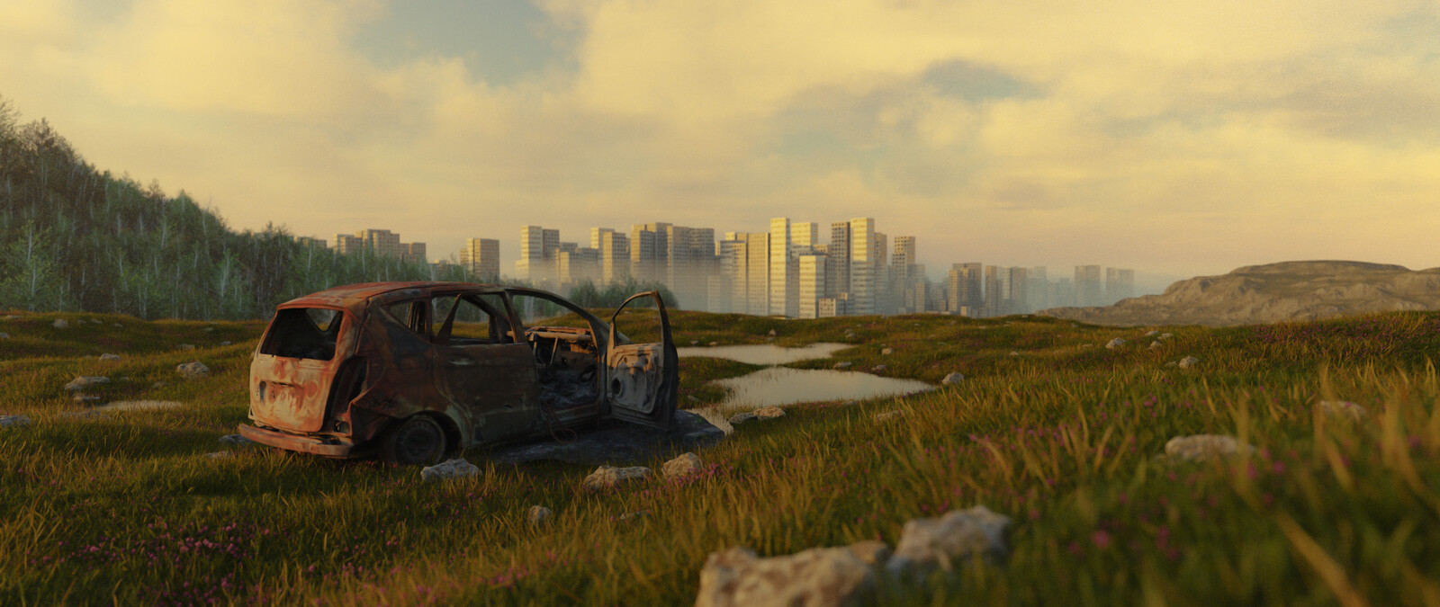 Car wasteland