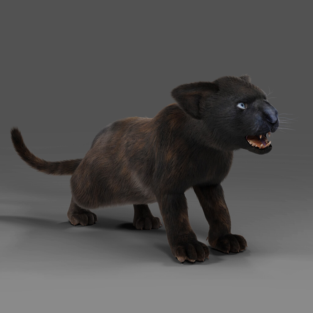 ArtStation - Fur Baby Black Panther Rigged and Animated in Unity