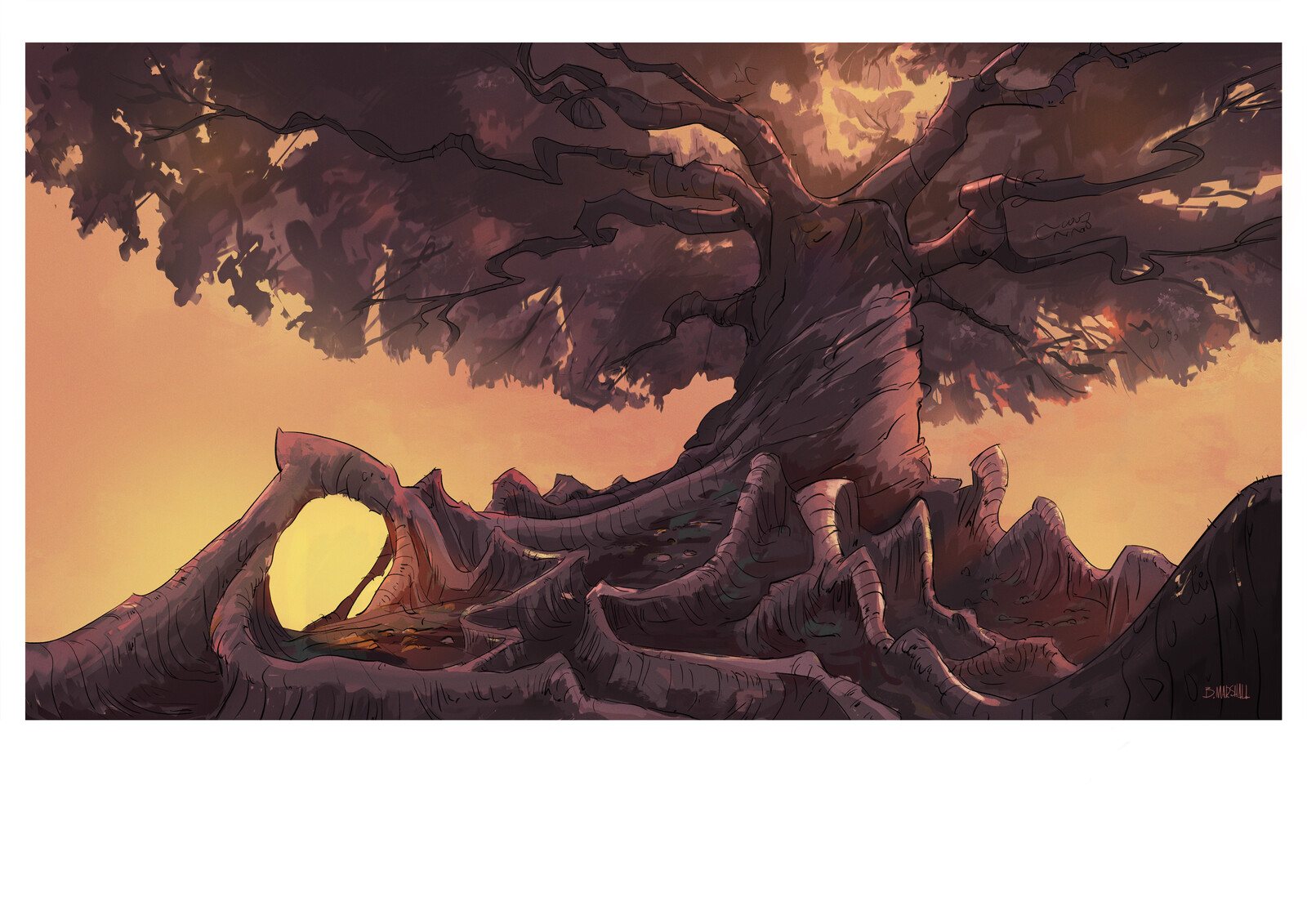 Giant Oak - Set Design Illustration