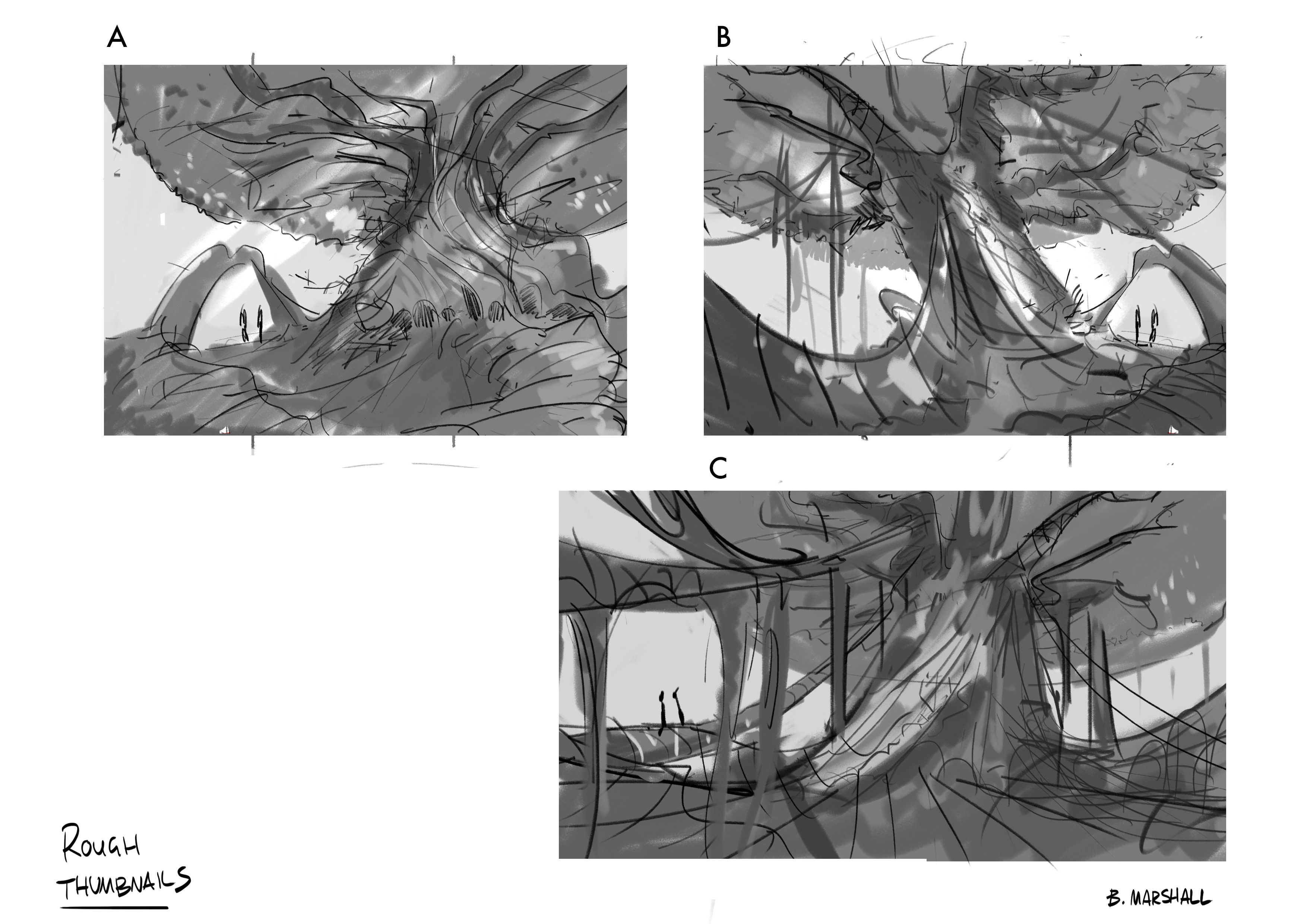 Rough thumbnail exploration shortlist - tree design layout