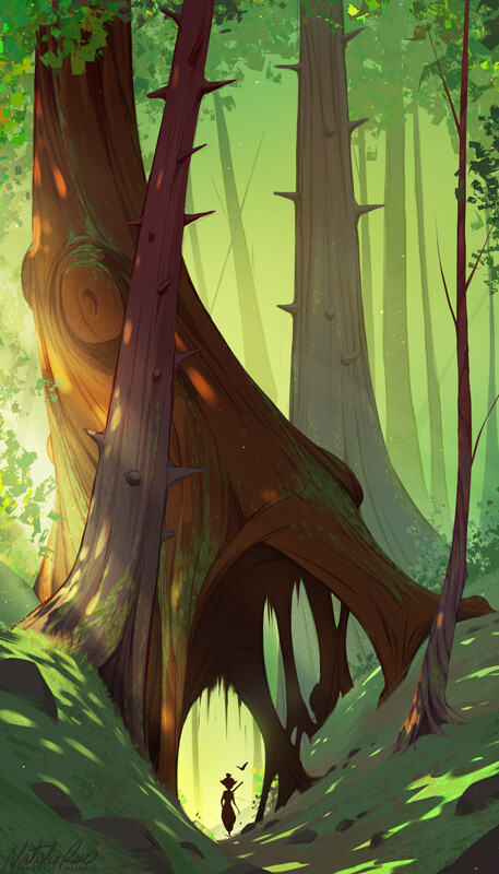 The Canopy