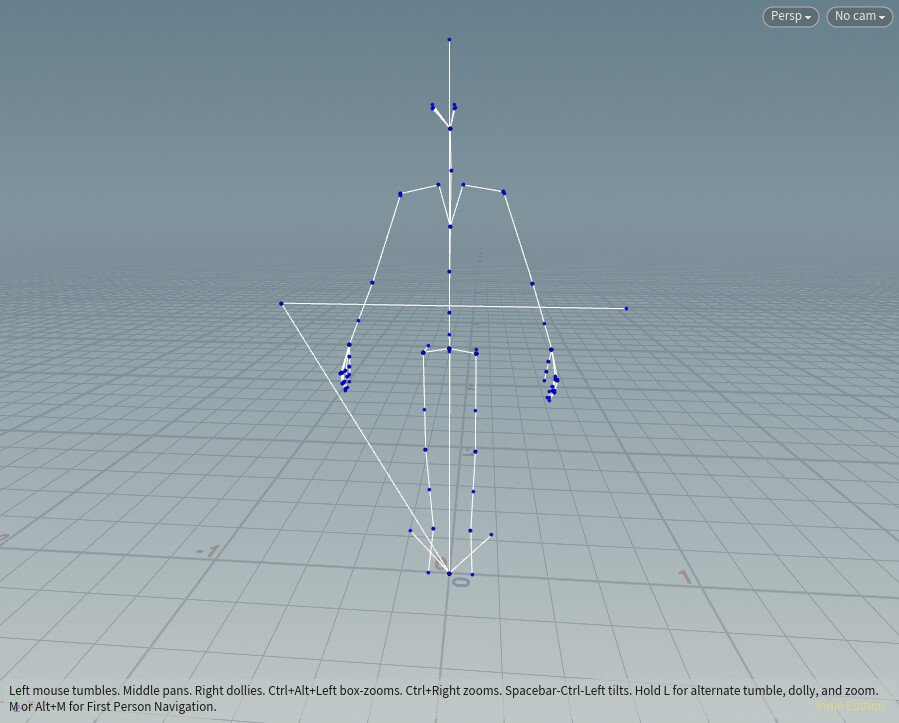 Original MoCap Skeleteton