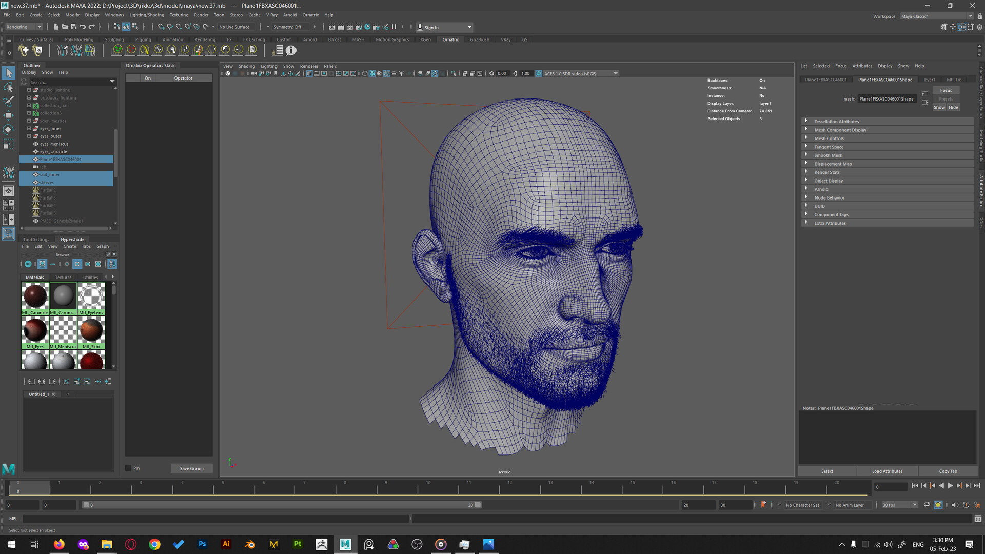 Hai Qin The Portrait of Henry