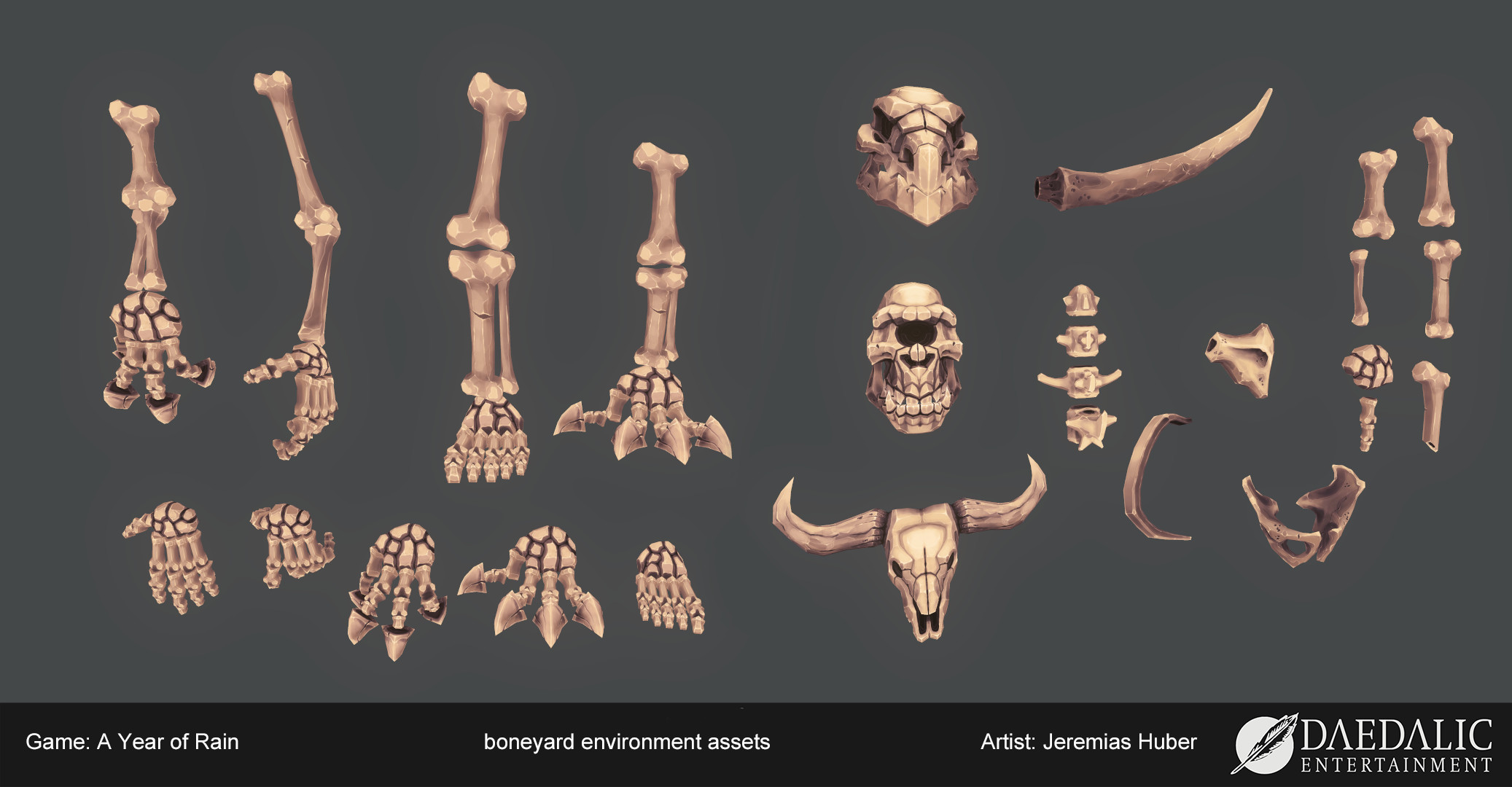 modular bone kit