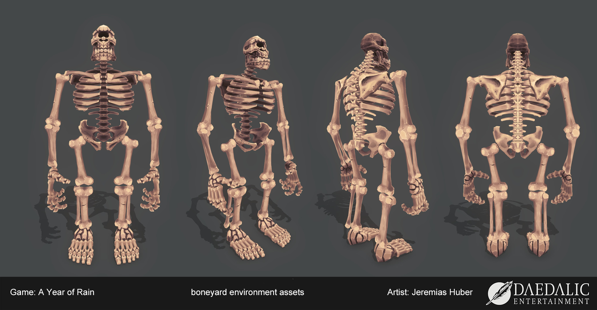 assembled Cyclops skeleton