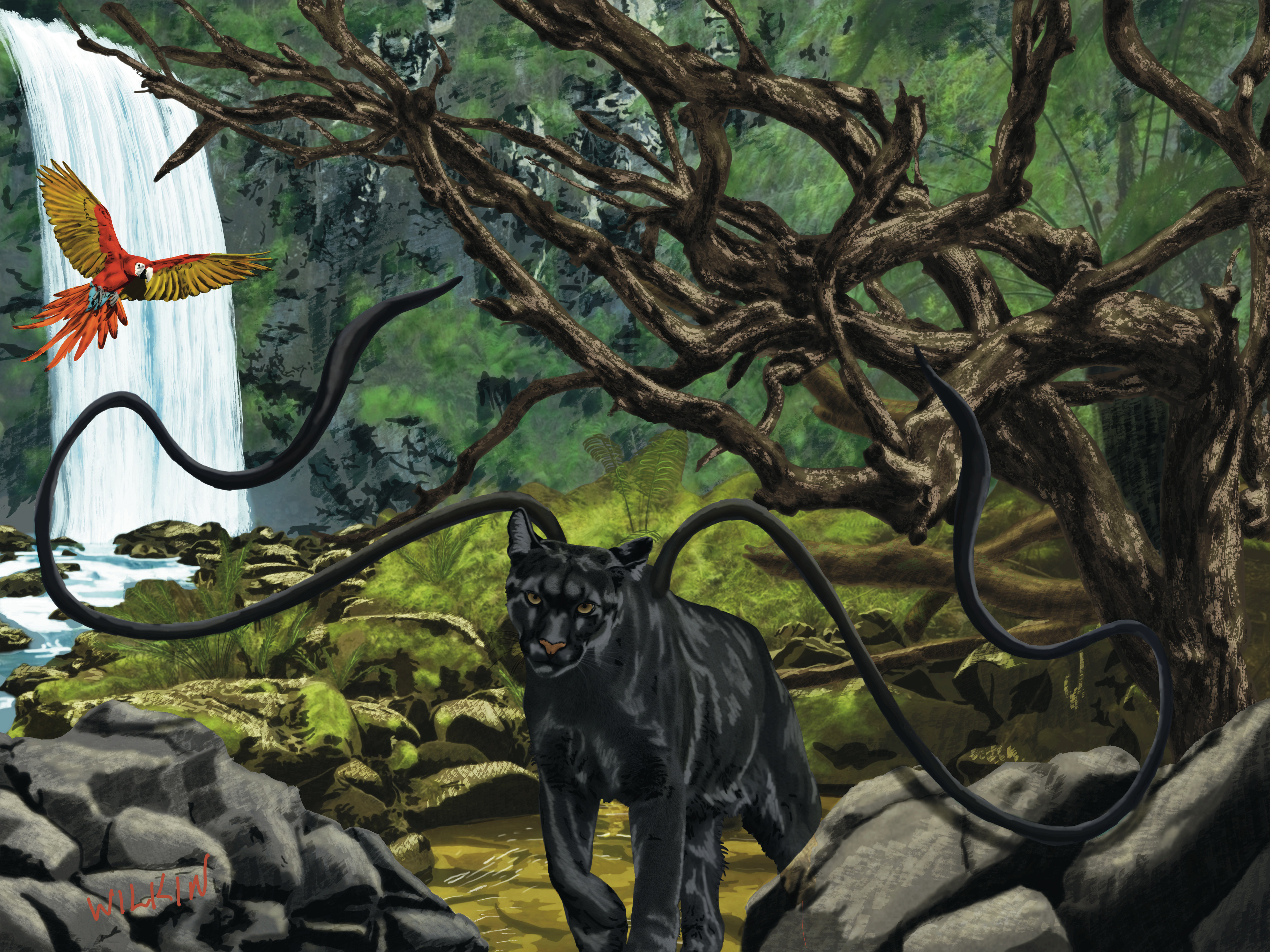 Displacer Beast Wandering