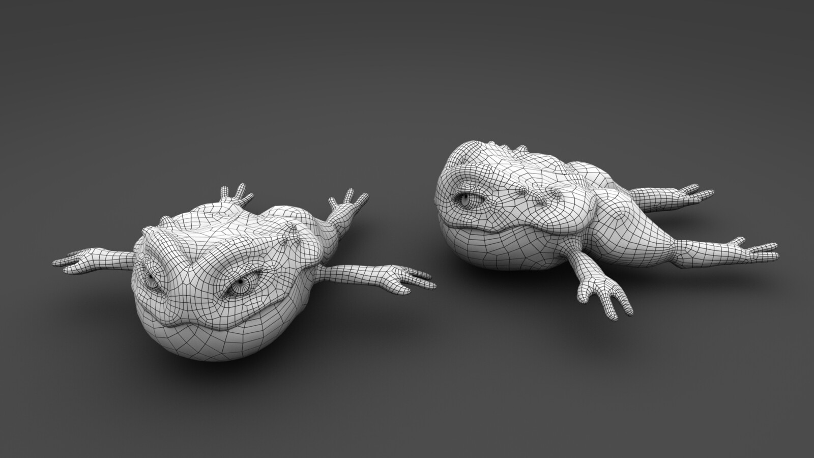 Retopologized mesh for toad
