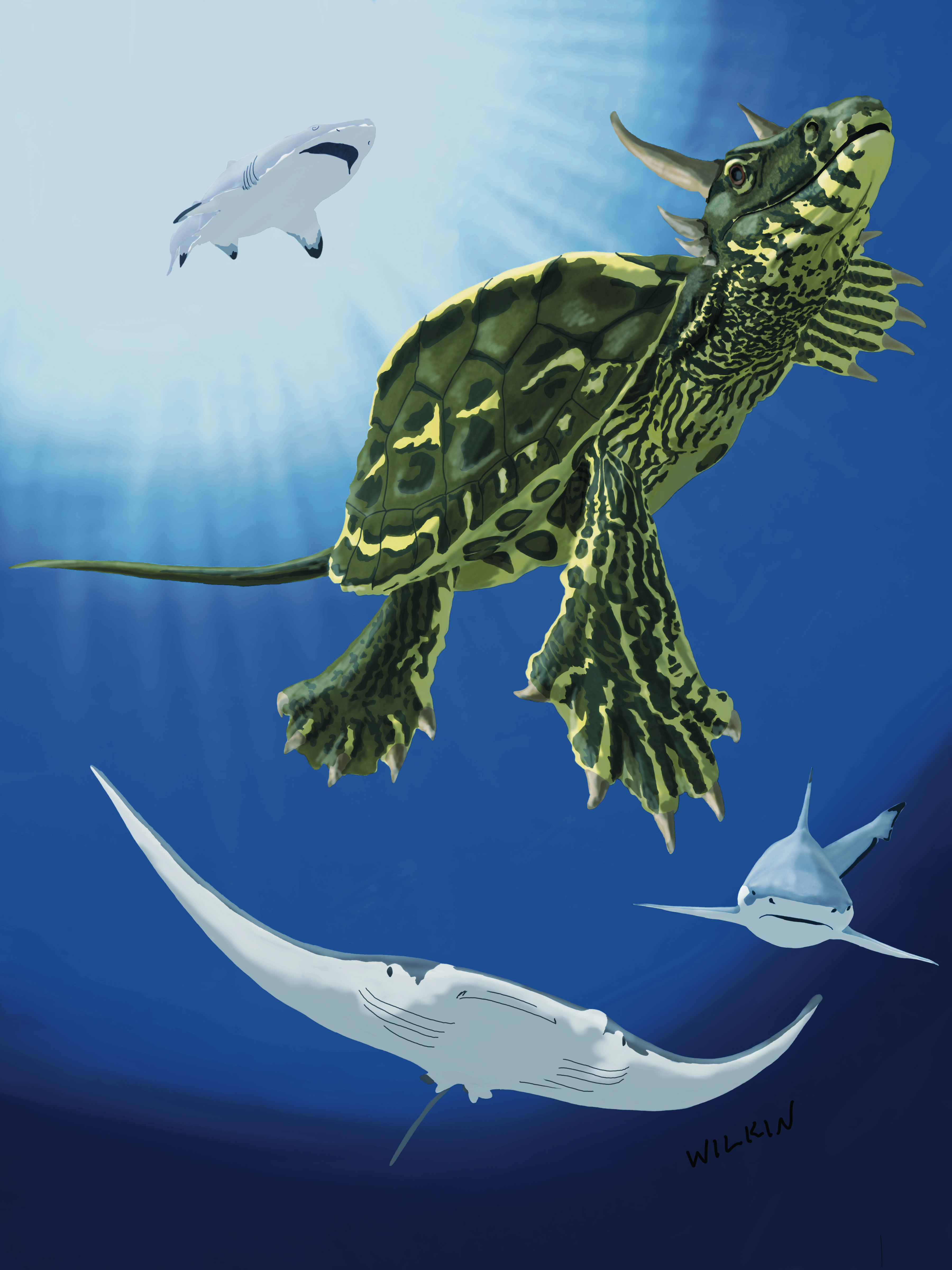 Dragon Turtle Digital 2D Painting.