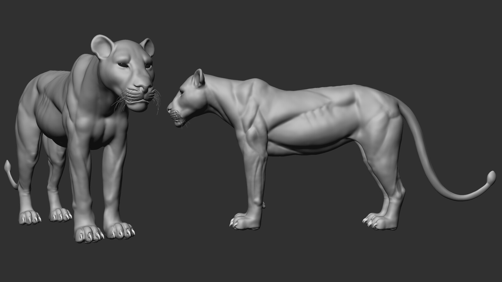 Lion
