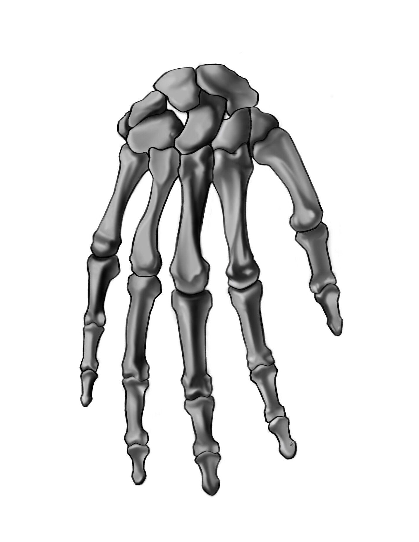 ArtStation - Skeletal Hand