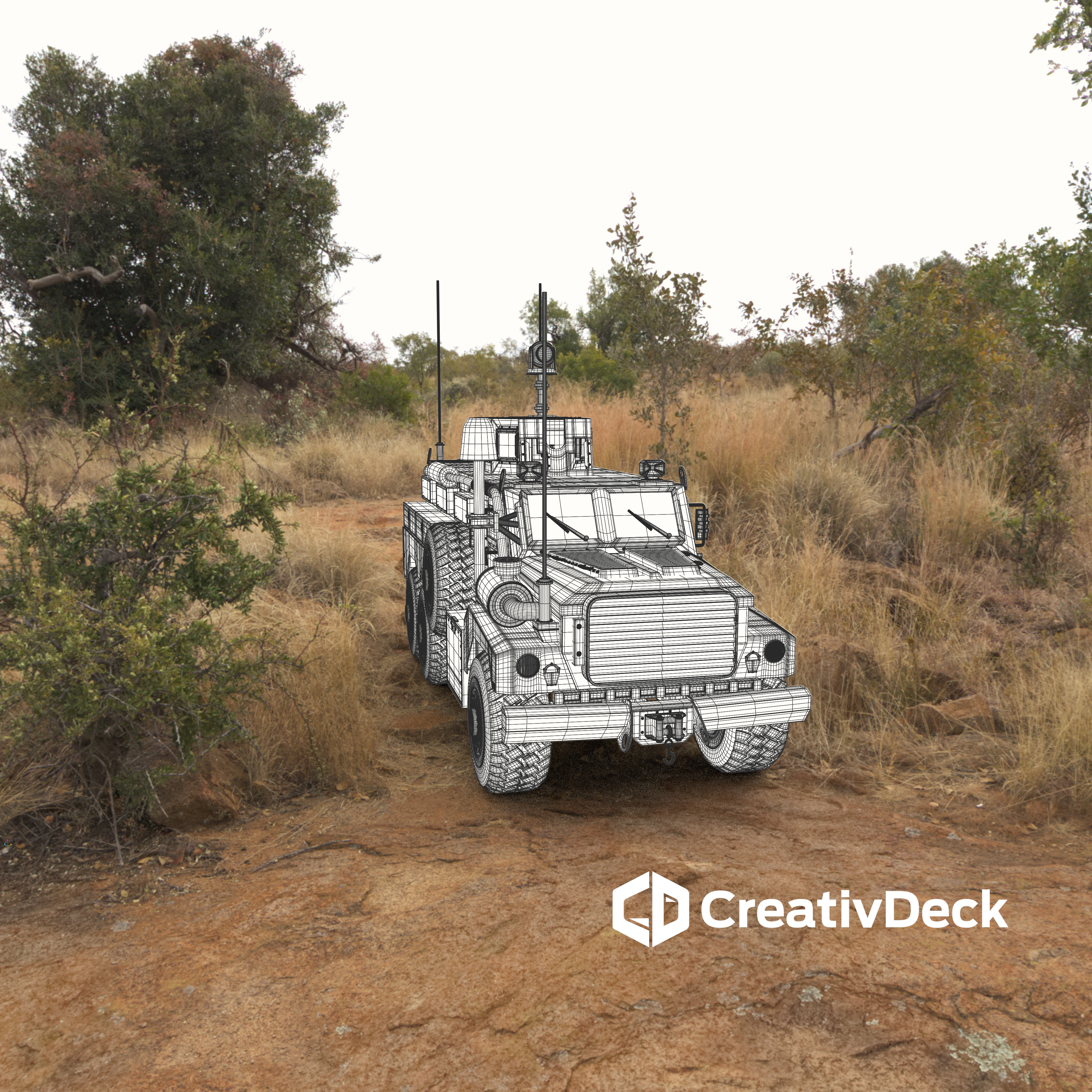 Cougar Front Wireframe