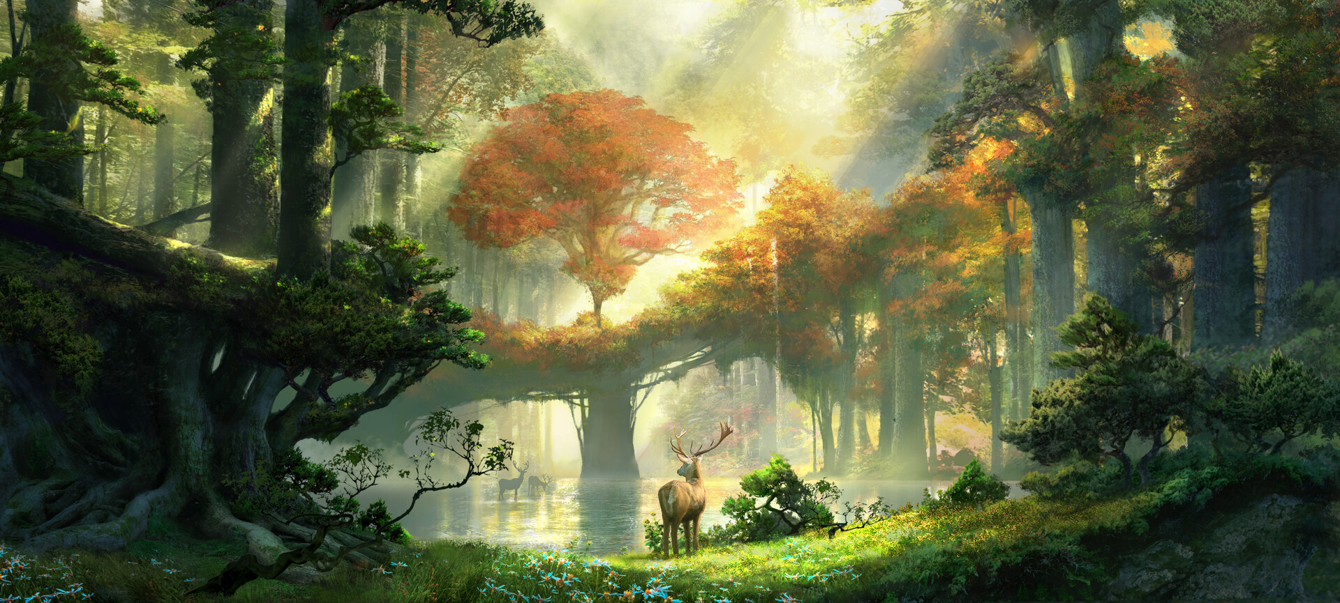 li moly - Lost In Woods