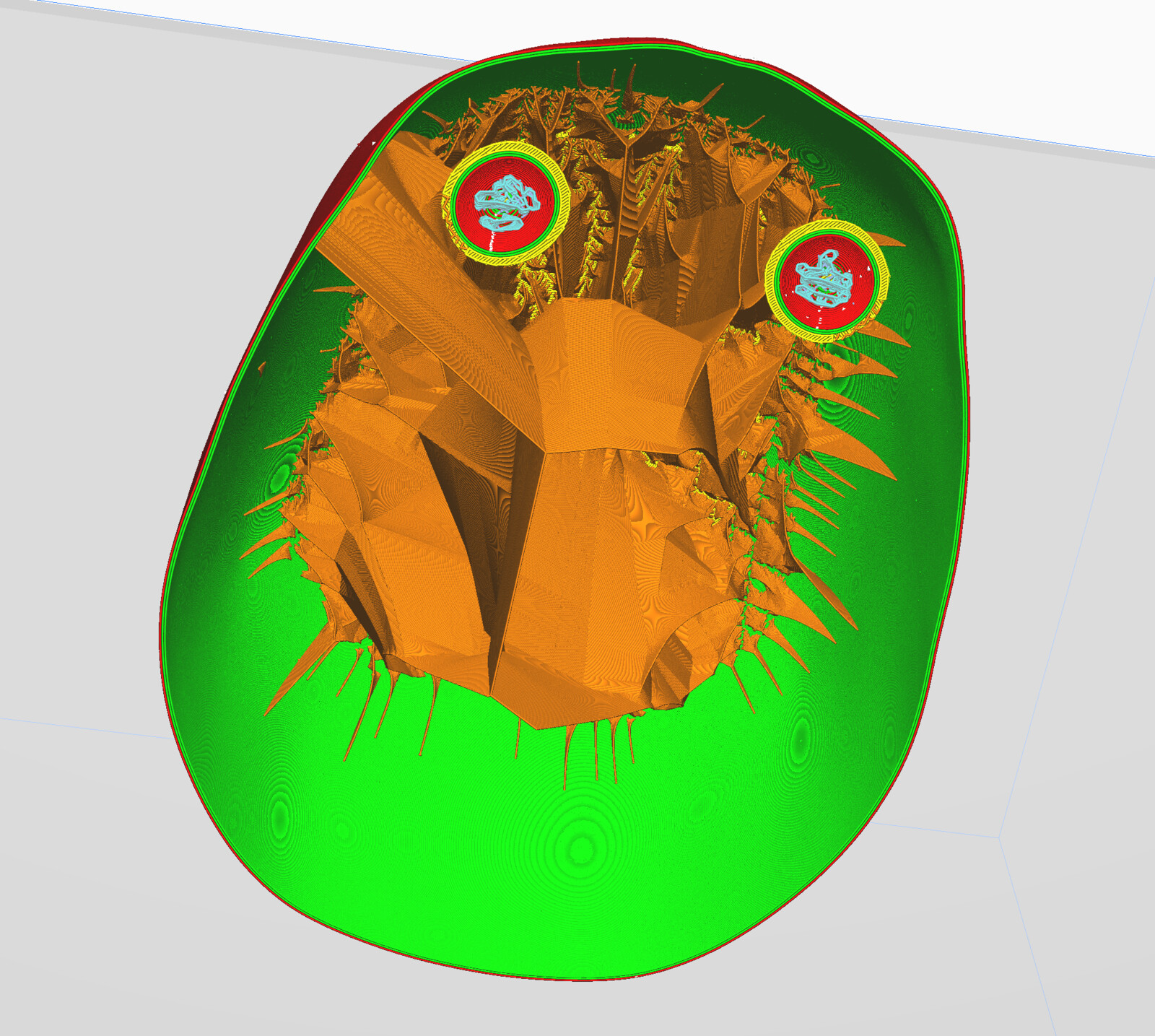 The cranium, view looking up. Those two circles are the ceilings of the eye sockets.