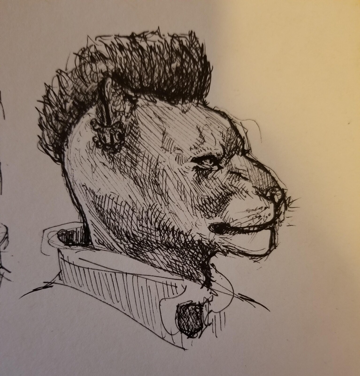 Razum Dar