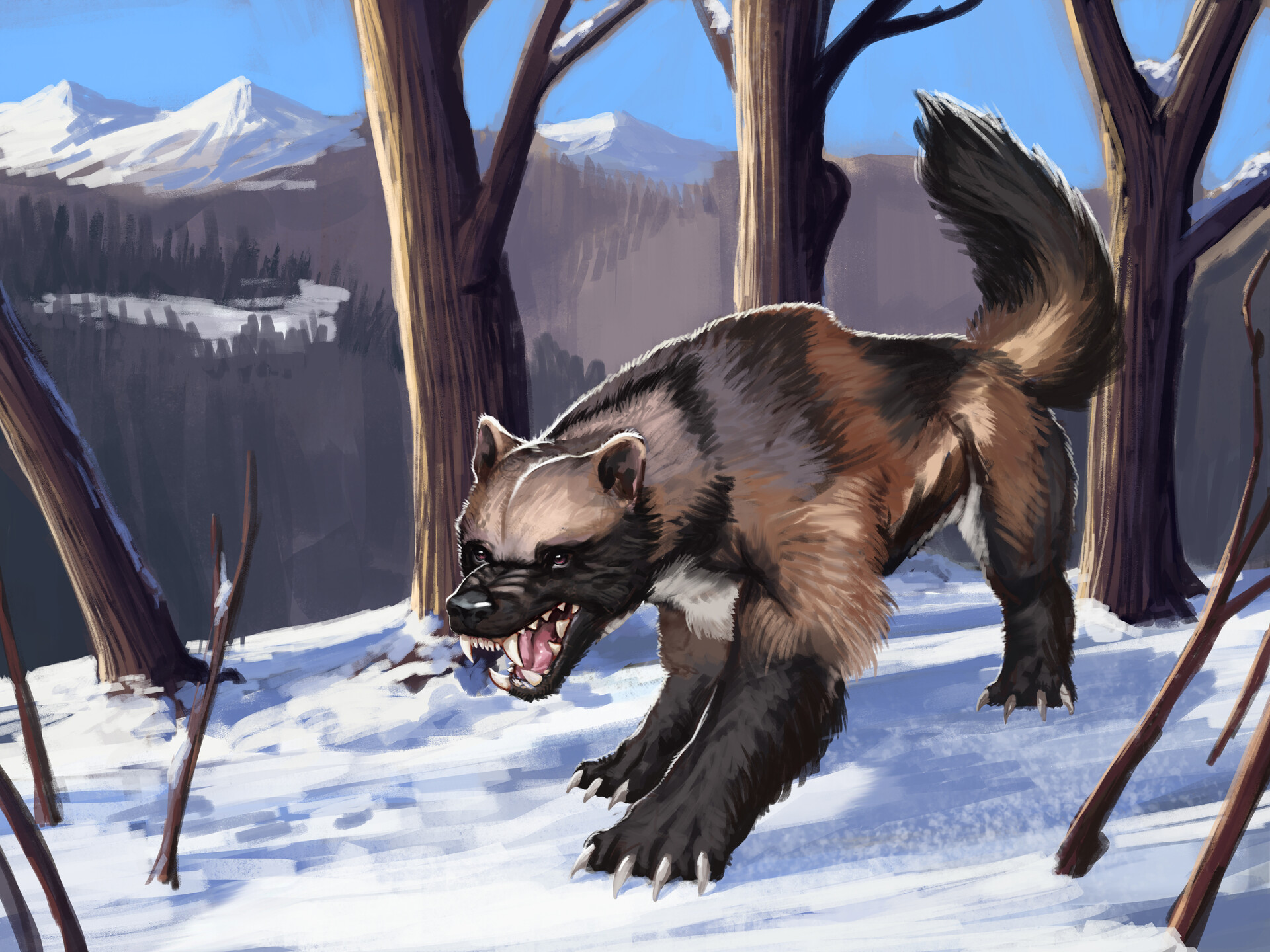 ArtStation - - Wolverine