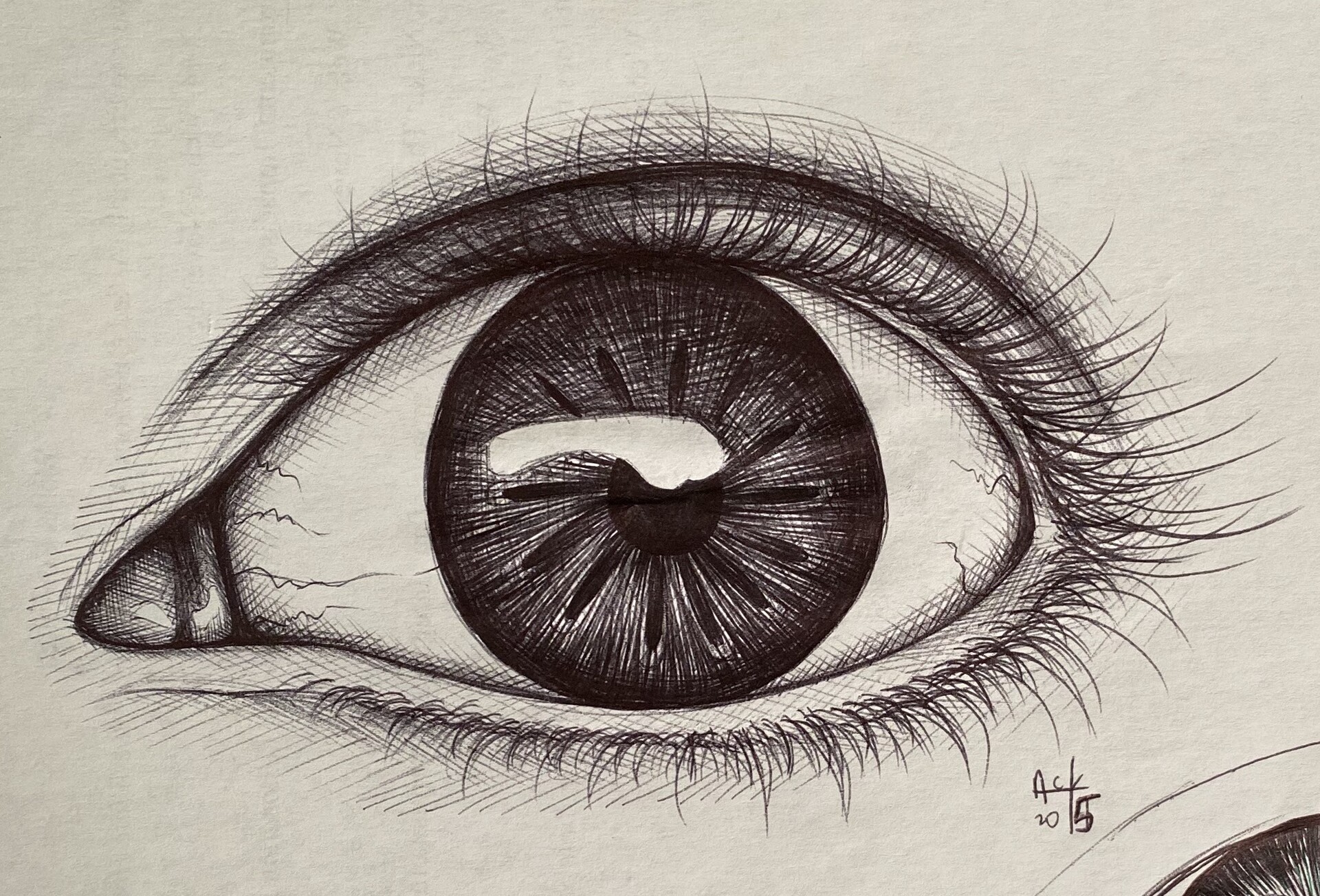 Eye with pen | Pen art drawings, Pen art work, Black pen drawing