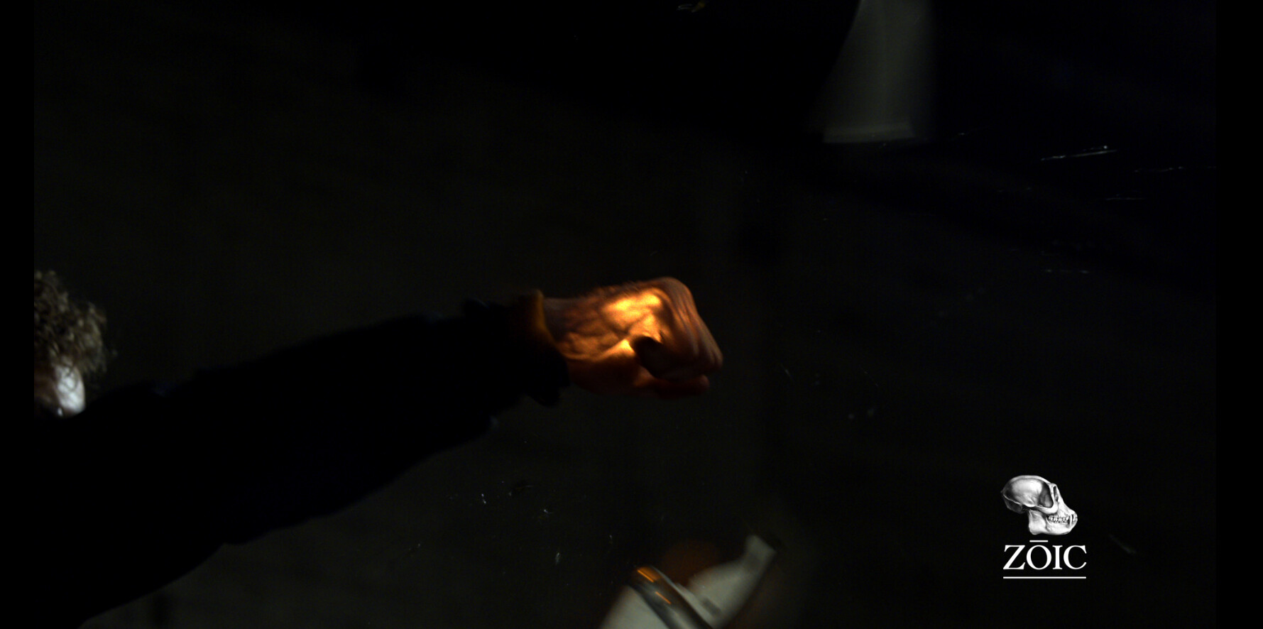 The Iron Fist