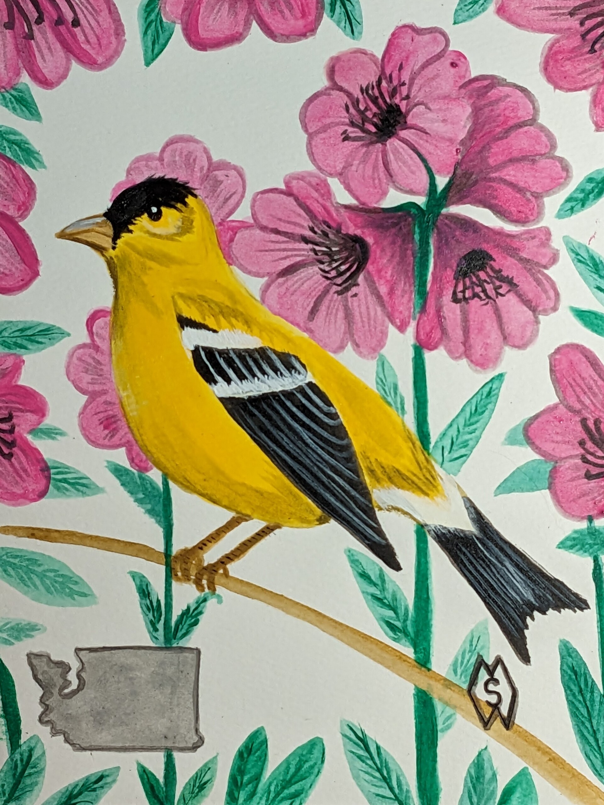 ArtStation Washington State Bird And Flower The Goldfinch And artstation-washington-state-bird-and-flower-the-goldfinch-and