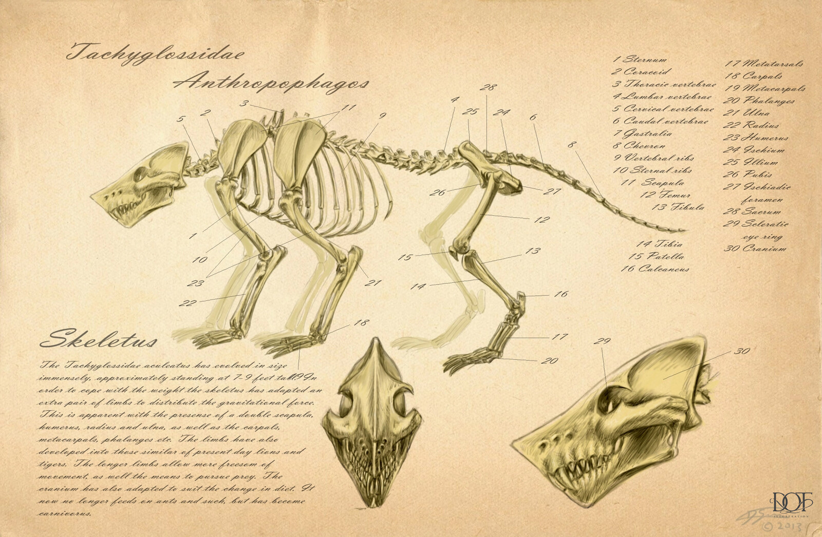 Creature Design #1