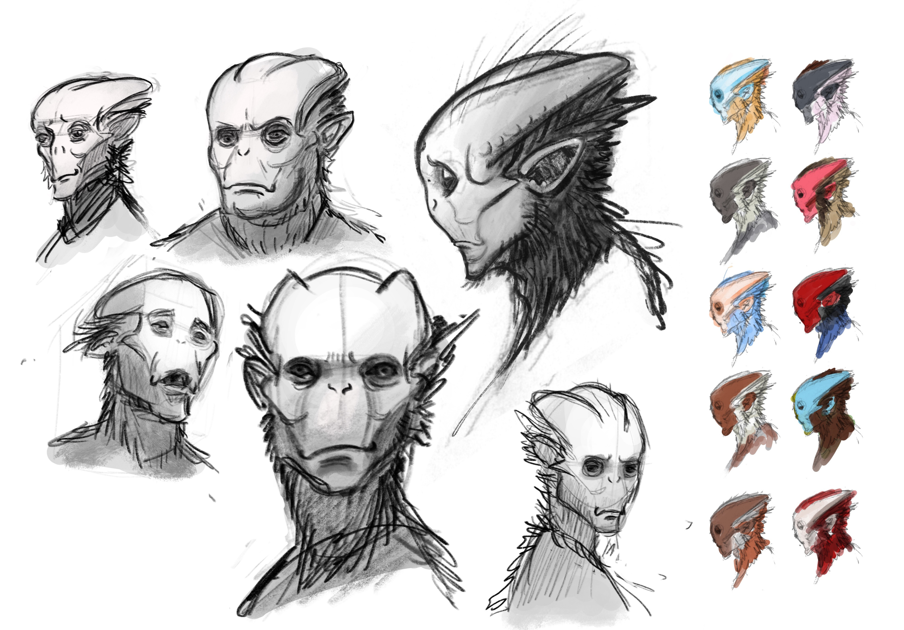 Original sketches playing with expressions and how the head shape might vary within a population. Plus some color exploration on the right