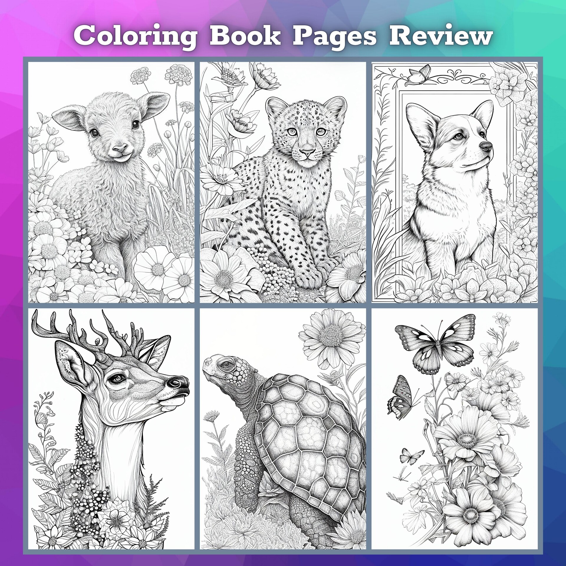 Cute Animal Coloring Book for Adults: Coloring Book, Relax Design for  Artists with fun and easy design for Children kids Preschool (Early  Education #3) (Paperback)