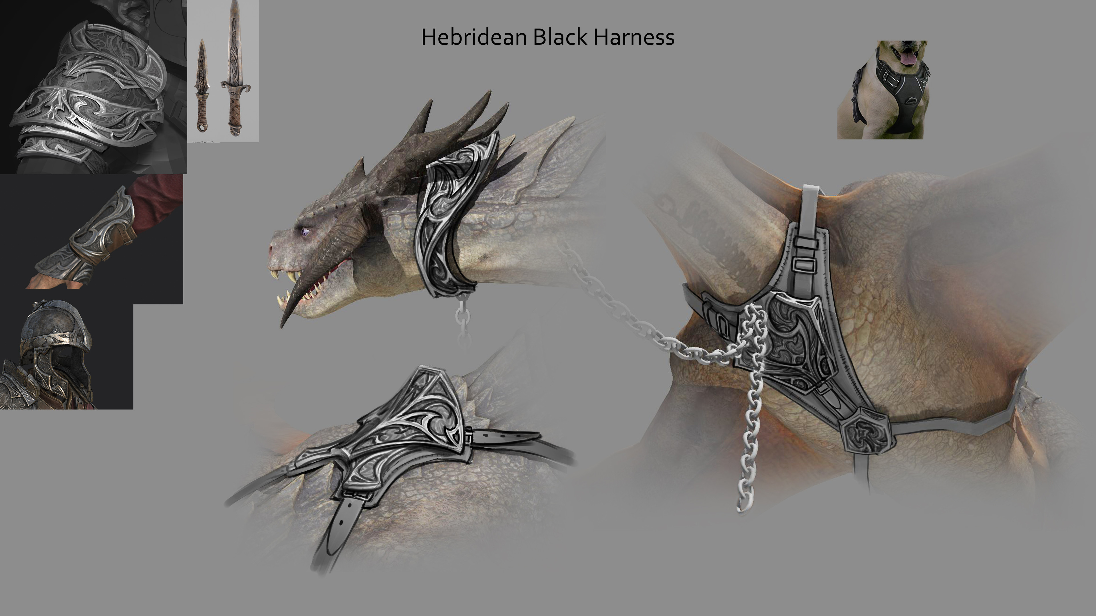 Concept for the harness and collar. While the collar is specifically called out in the game, we thought a harness and a chain would be a good way of making the dragon feel controlled.