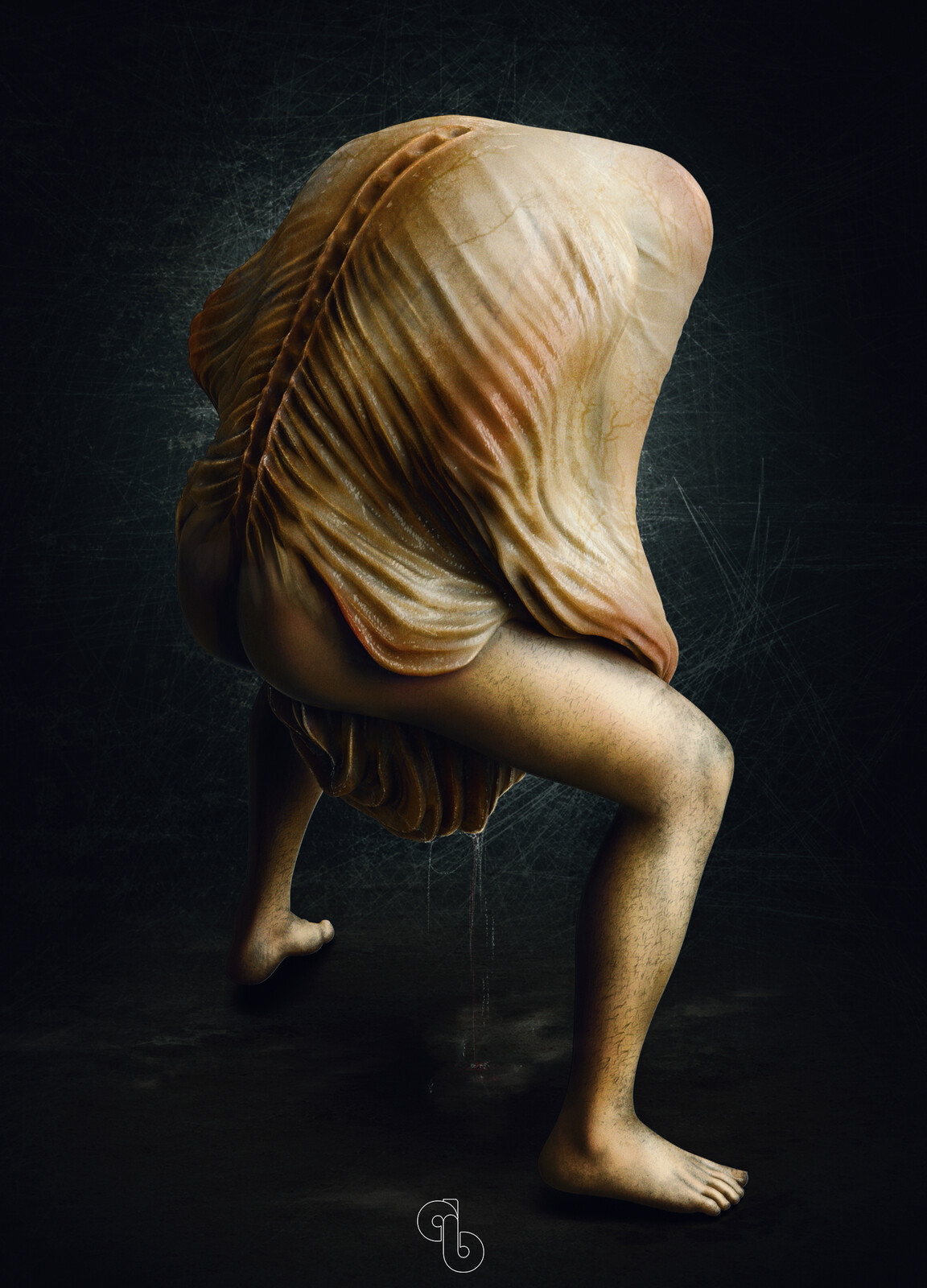 Illustration - Back