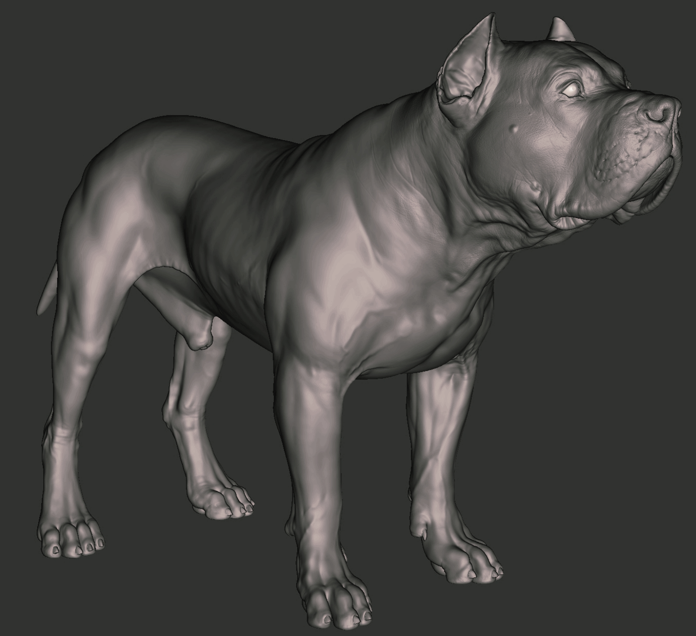 Before/ After
- - - 
Took an older sculpt of mine and changed it for the better, turning it into the base of my centaur