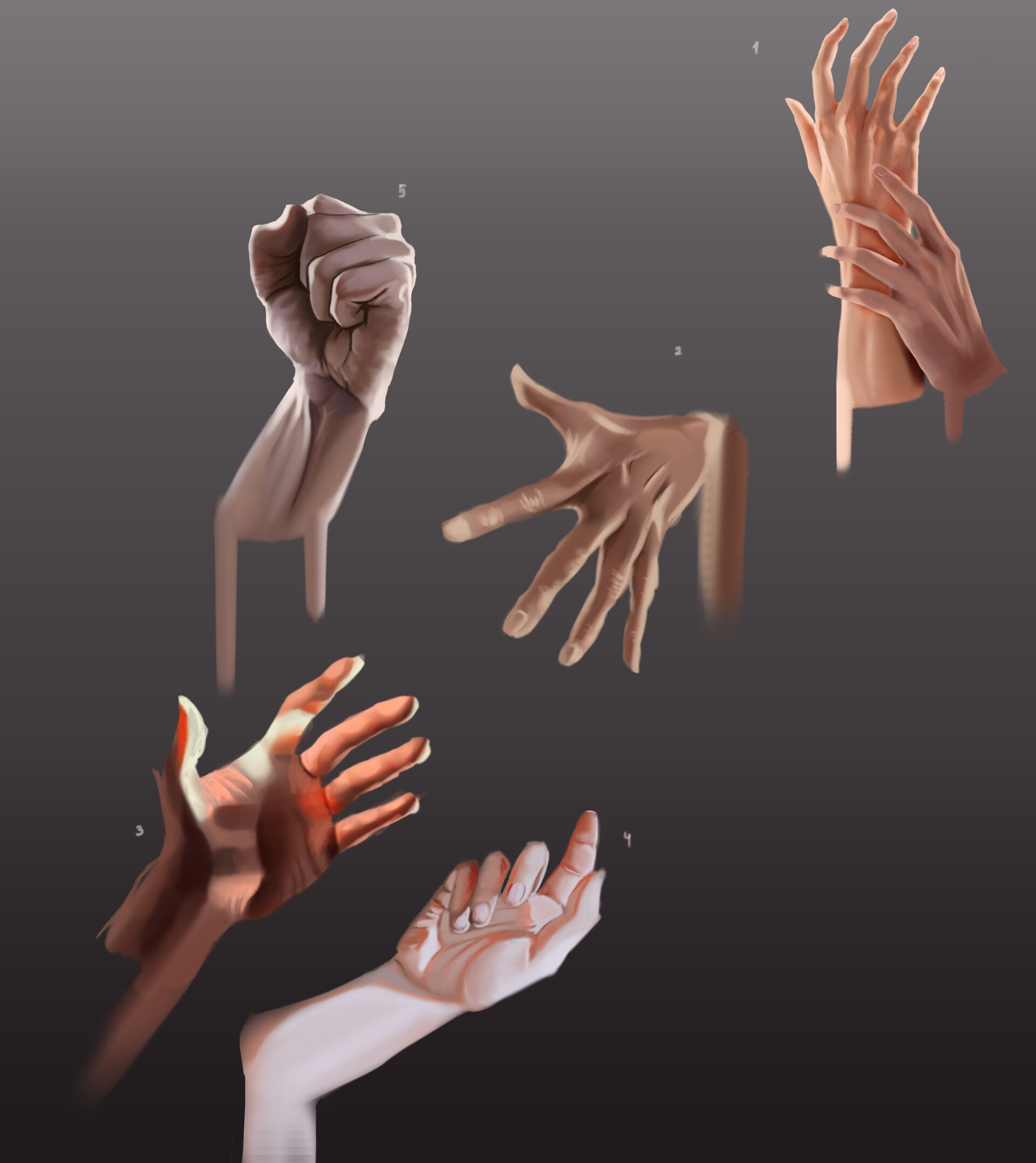 ArtStation - Hand and color study