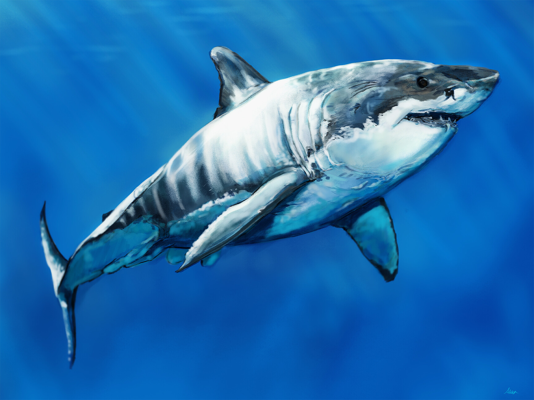 Artstation great white shark