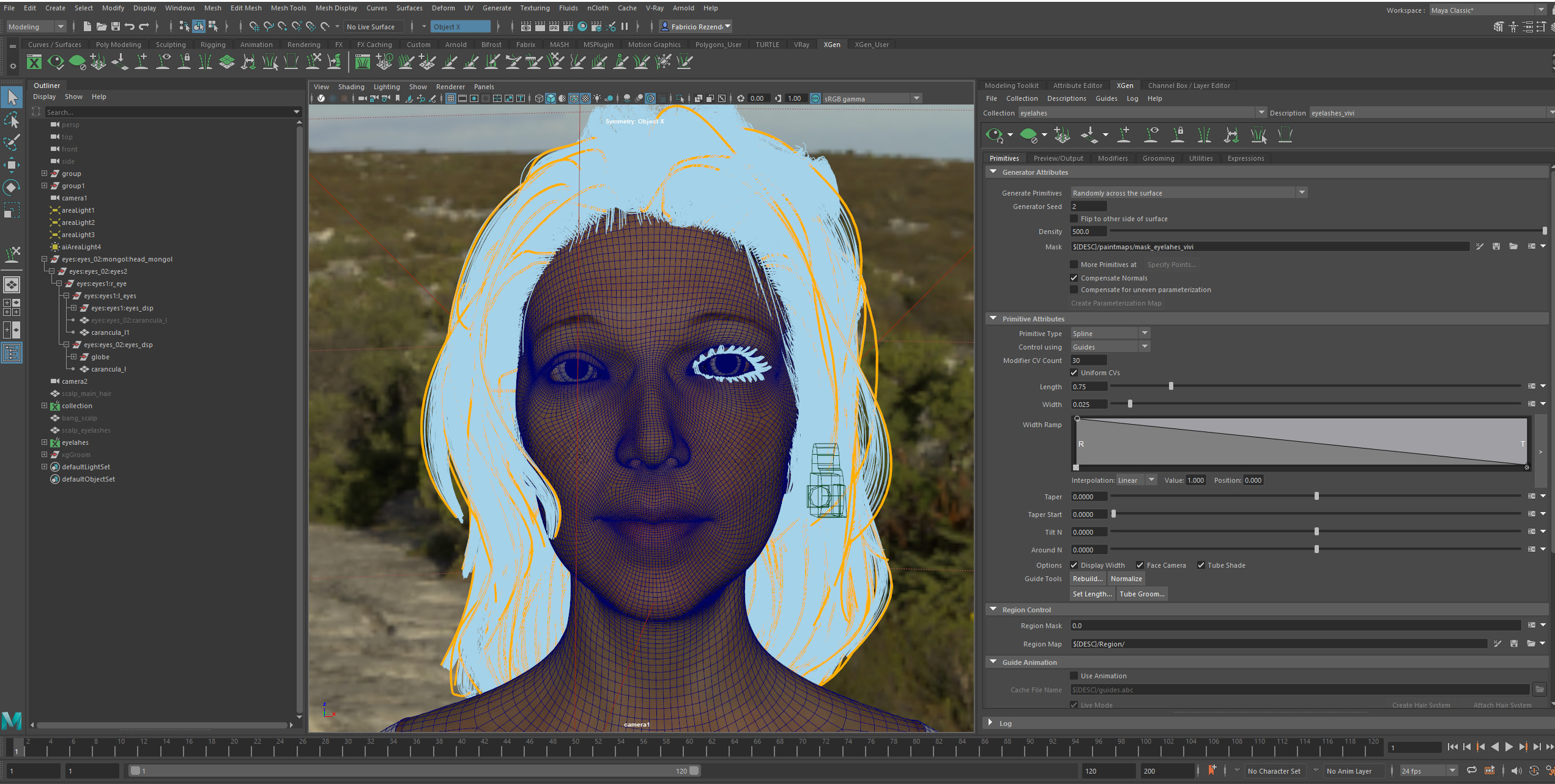 wireframe
